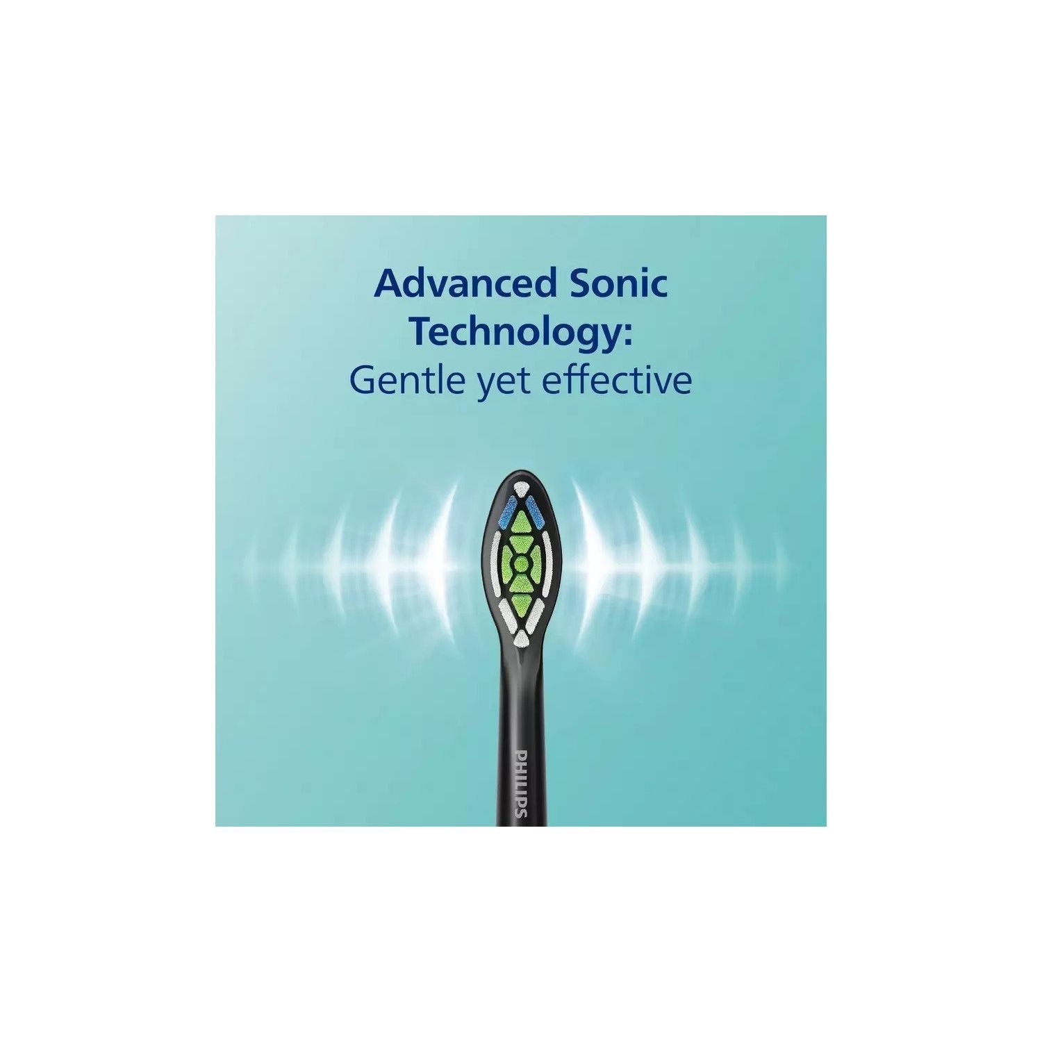 6526b682e719a624d41b5e41_1742233179879_3112366_R_Z006A.jpg